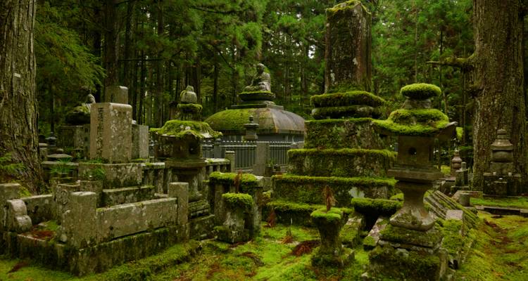 Monumentos de piedra cubiertos de musgo en un cementerio boscoso.