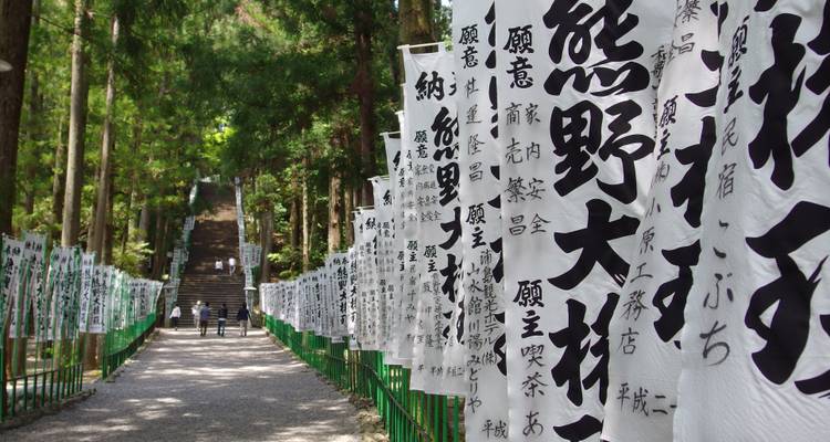 Sendero del bosque bordeado con banderas que presentan texto japonés.