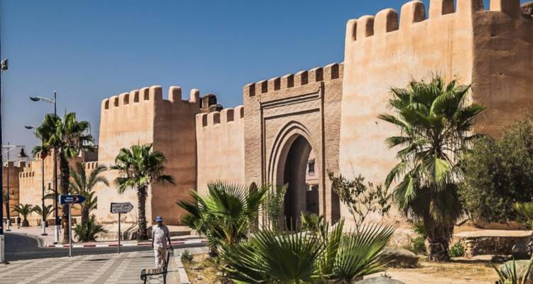 Muralla de la ciudad con palmeras y calle en Taroudannt.