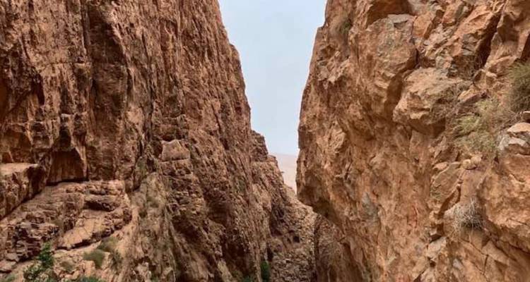 Paredes rocosas escarpadas en un desfiladero estrecho.