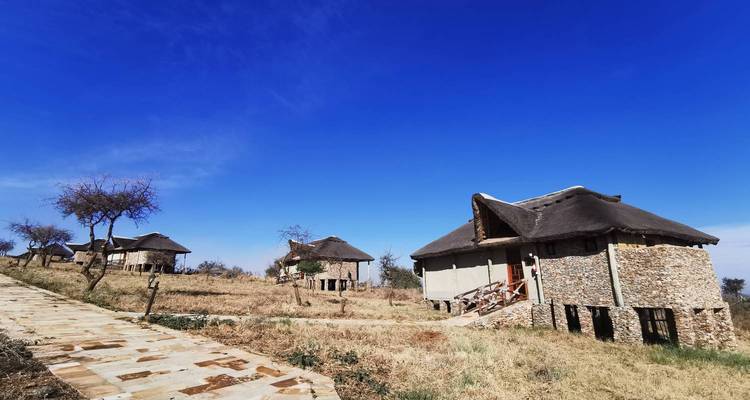 Lodges au toit de chaume dans un paysage de savane.