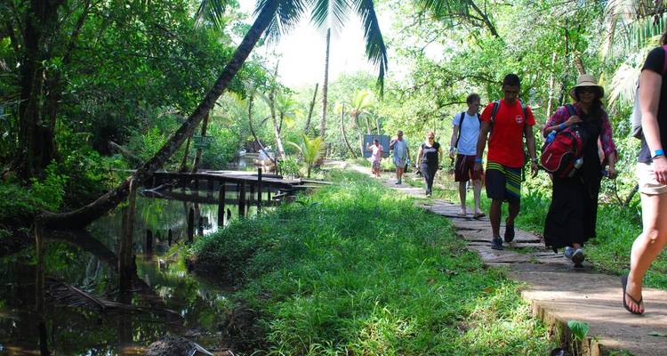 Grupo de personas caminando por un sendero de selva exuberante.