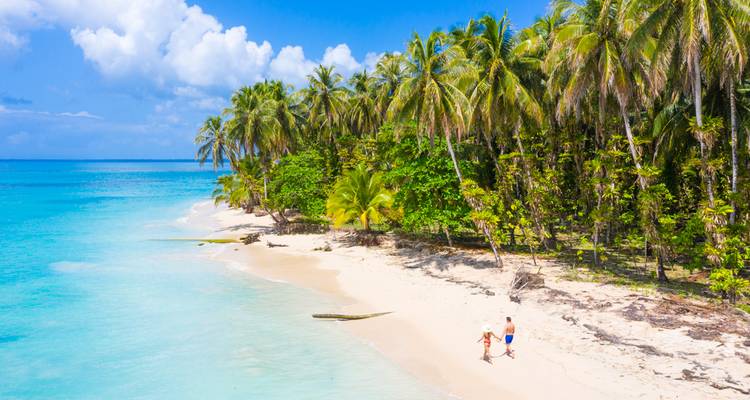 Ongerept strand met wit zand, turquoise water en weelderige palmbomen, met een wandelend stel.