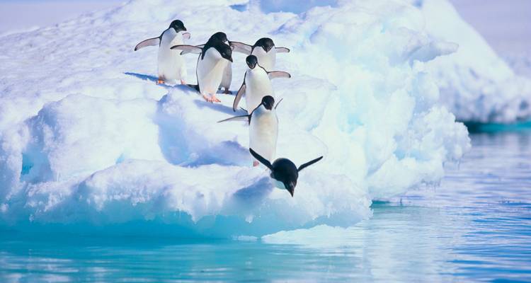 Crossing the Circle: Southern Expedition, Operated by Quark - Exodus Adventure Travels 9