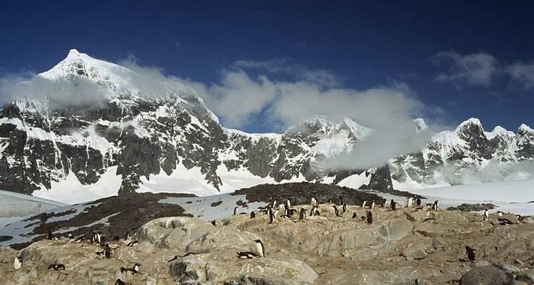 Crossing the Circle: Southern Expedition, Operated by Quark - Exodus Adventure Travels 8