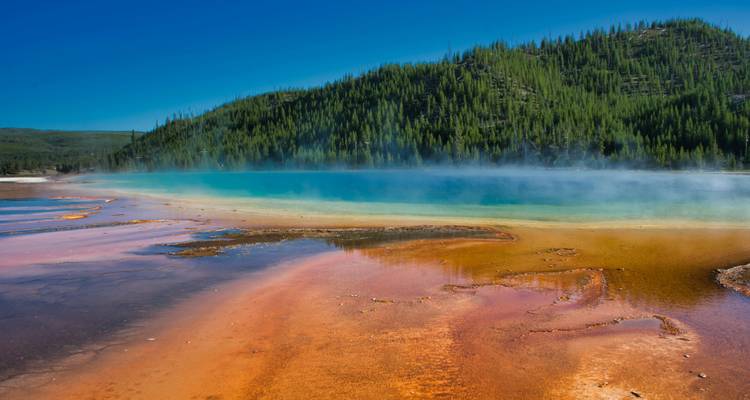 Vue d'une source géothermique avec de la vapeur s'élevant au milieu des forêts de Yellowstone.