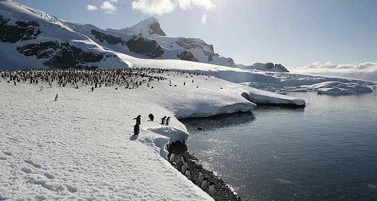 Les Malouines, la Géorgie du Sud et l'Antarctique : Explorateurs et rois, géré par Quark - Exodus Adventure Travels 7