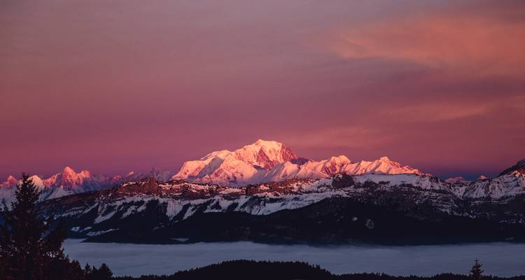 Le Mont Blanc enneigé rougeoyant de rose et de violet au coucher du soleil au-dessus des crêtes boisées et d'une mer de nuages.