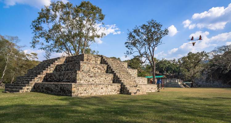 Alte Steinpyramide mit Bäumen rundherum und Vögeln, die darüber fliegen.