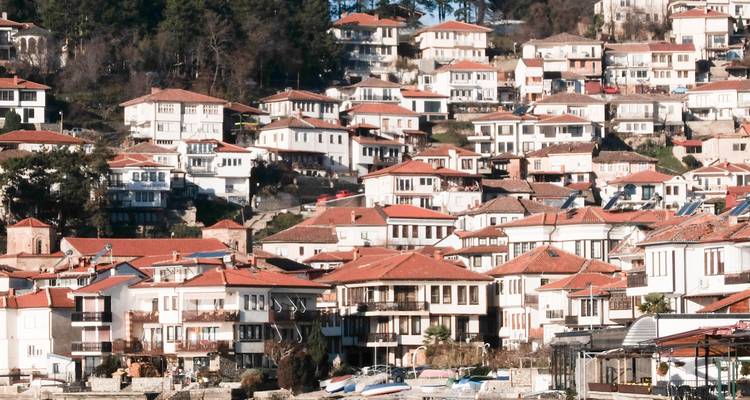 Grupo de casas con tejados rojos en una ladera.