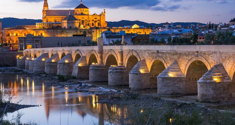 Puente histórico y edificios iluminados al anochecer.