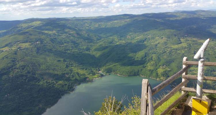 Vista aérea de un paisaje verde con un río.