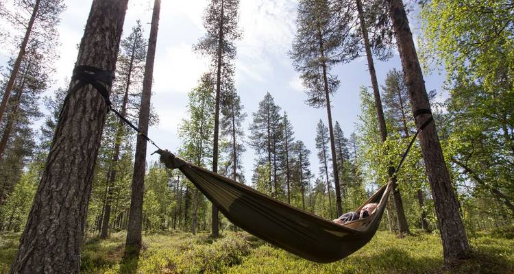 Eine Person, die in einer Hängematte in einem Wald entspannt.