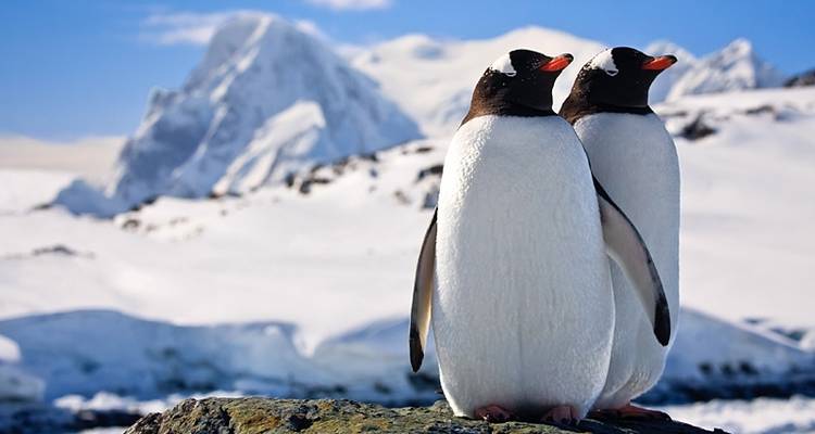 Antarctic Express: Fly the Drake, Operated by Quark - Exodus Adventure Travels 3
