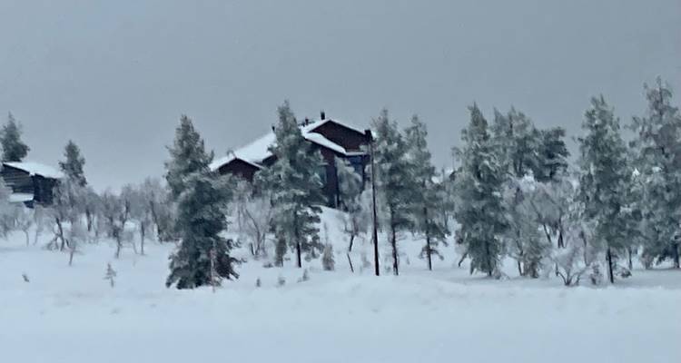 Cabanes couvertes de neige entourées d'arbres givrés.