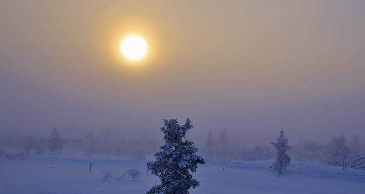 Soleil brillant à travers le brouillard sur un paysage enneigé.