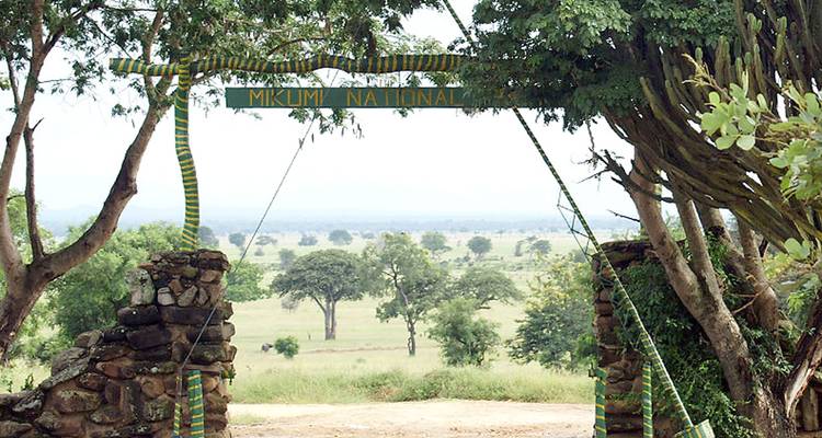 Puerta de entrada al Parque Nacional Mikumi con vista del paisaje.