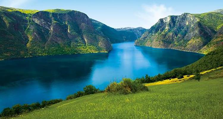 Un fiordo azul brillante se curva entre montañas verdes escarpadas bajo un cielo despejado, visto desde una ladera cubierta de pasto.