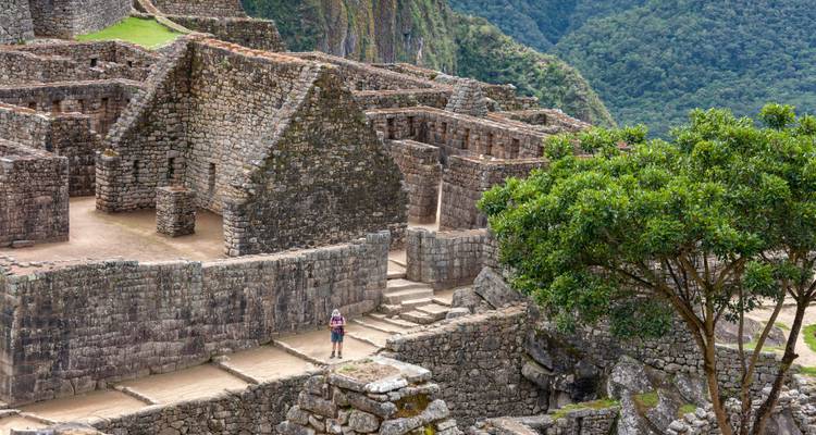 Vue rapprochée des ruines de pierre du Machu Picchu, entourées de verdure.