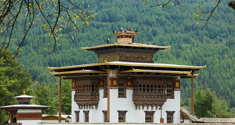 Traditionelle bhutanische Architektur inmitten einer Waldlandschaft mit bergiger Kulisse.