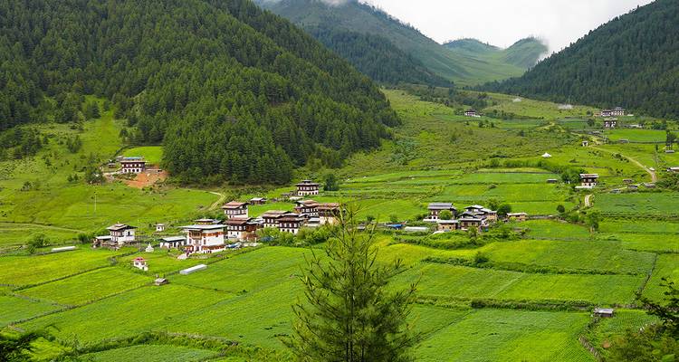 Vallée de Phobjikha verdoyante parsemée de fermes traditionnelles et de collines boisées