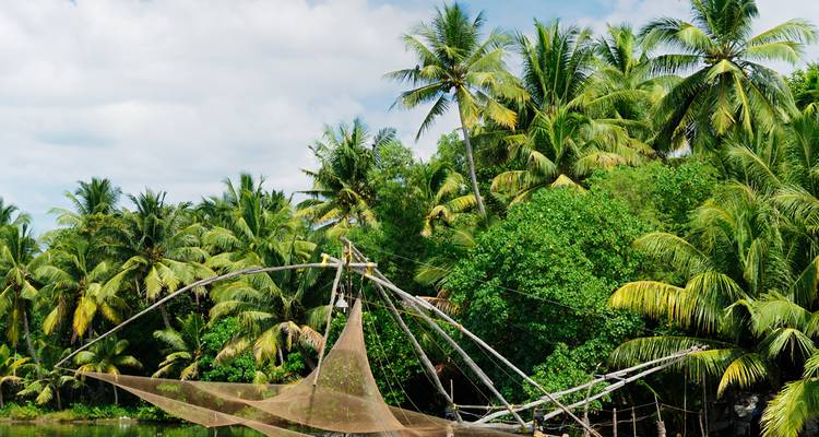 Filets de pêche chinois avec palmiers.