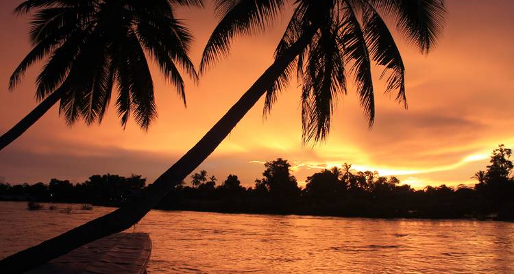 Levendige oranje zonsondergang silhouetteert palmbomen boven de Mekong rivier in zuidelijk Laos.