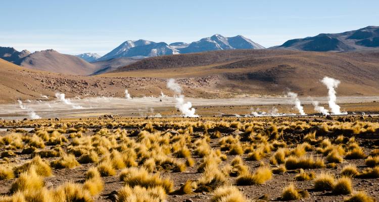 Vapeur s'élevant des geysers dans une région montagneuse.