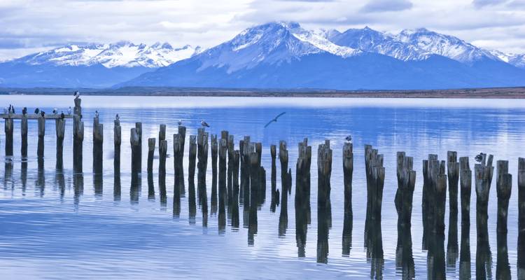 Restes de jetée s'étendant dans un plan d'eau calme.