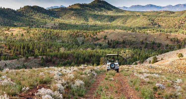 Terreinwagen die door een berglandschap rijdt.