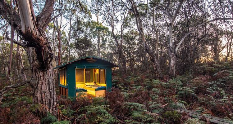 Una pequeña cabaña rústica en una zona boscosa con equipo de campamento afuera.