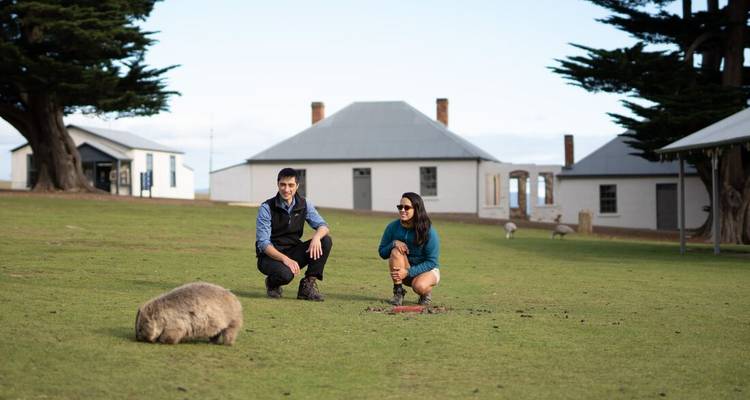 Un couple interagissant avec un wombat sur un champ herbeux avec des bâtiments historiques.