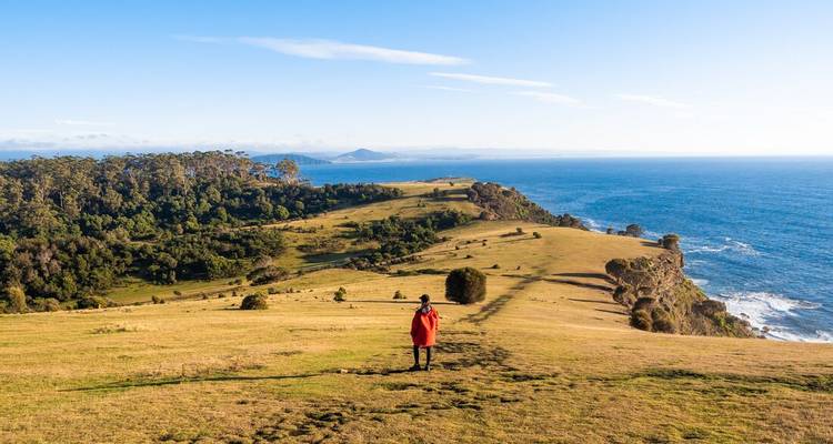 Une personne en veste rouge traversant un paysage côtier pittoresque avec vue sur l'océan.