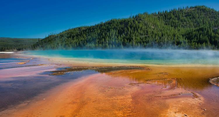 Bassin géothermal coloré avec de la vapeur qui s'élève et des collines boisées en arrière-plan.