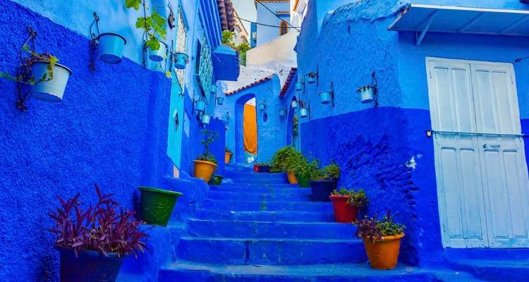 Eine lebhafte blaue Gasse mit Topfpflanzen.