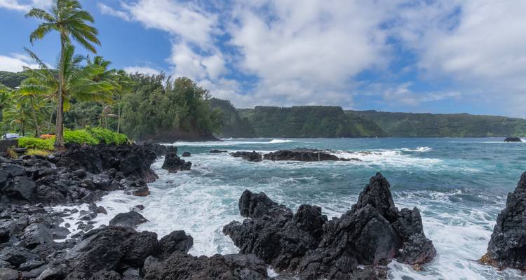 Littoral rocheux avec des vagues qui se brisent contre les rochers, une végétation luxuriante, et un ciel nuageux.