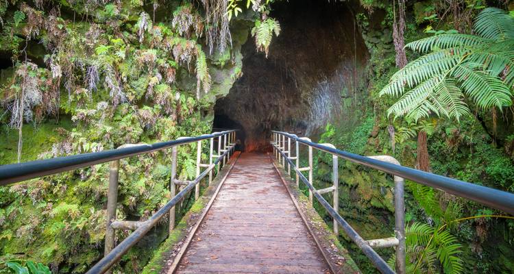 Entrée d'un tube de lave avec une végétation luxuriante et un sentier bien entretenu.