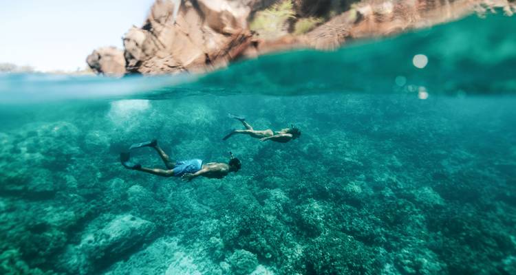 Deux plongeurs en apnée glissent au-dessus de récifs coralliens vibrants dans les eaux cristallines d'Hawaï.