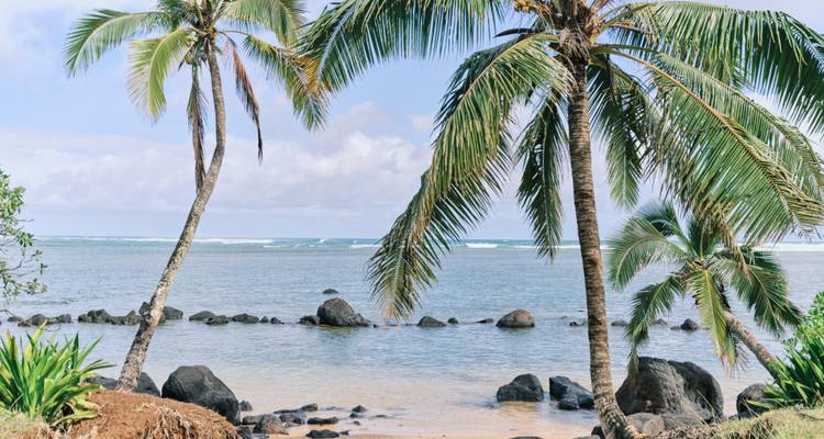 Rivage tropical paisible avec des palmiers penchés au-dessus d'un lagon calme et peu profond parsemé de rochers noirs.