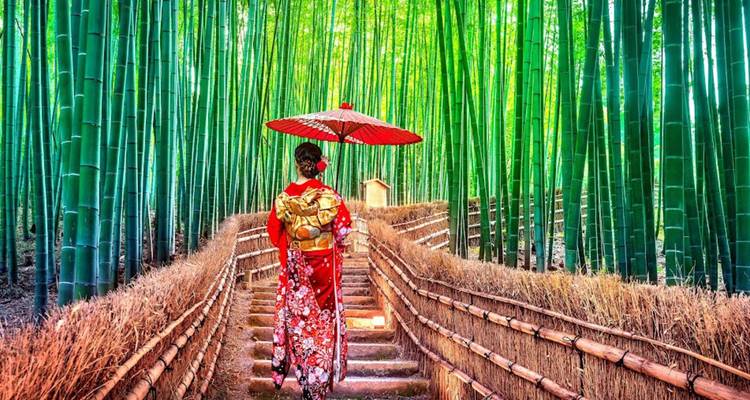 Persoon in traditionele kledij wandelend door een bamboebos.
