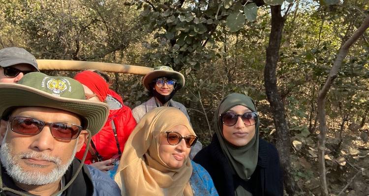 Groep mensen op een safariwagen omringd door bomen.