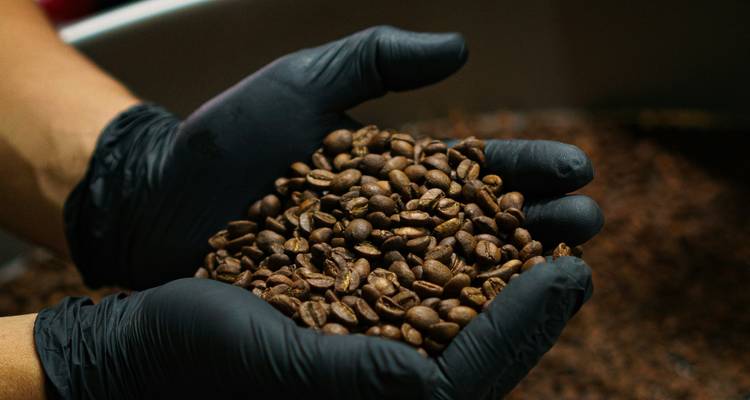Mains tenant des grains de café.