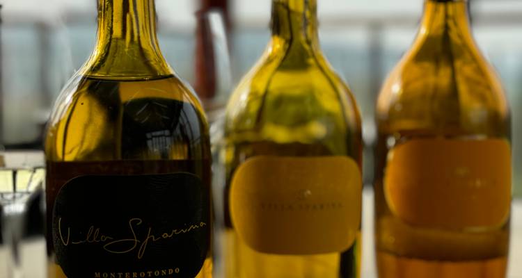 Tres botellas de vino enfocadas, fondo borroso.