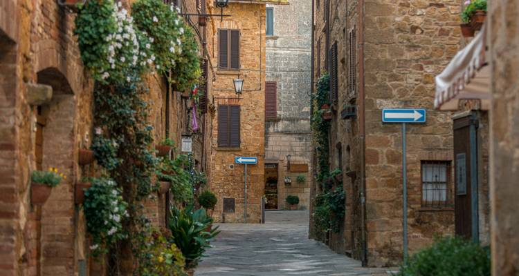 Calle empedrada estrecha con plantas y edificios antiguos.