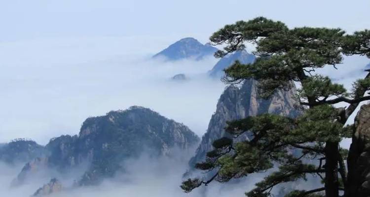 Montagnes brumeuses avec des pins au premier plan.