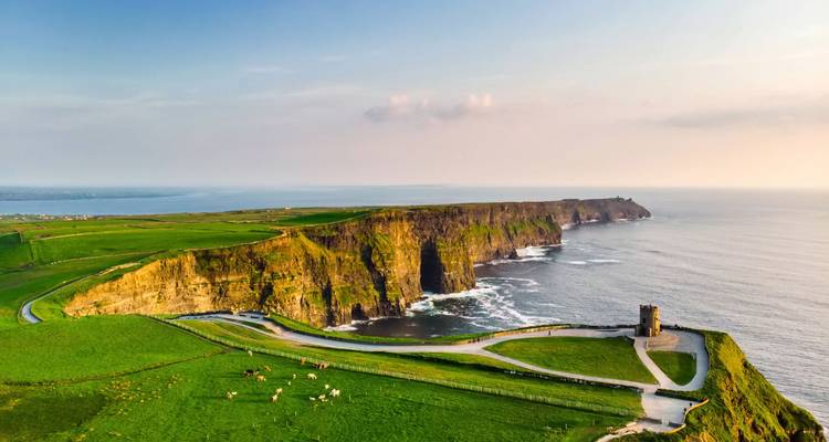 Vue aérienne panoramique des Falaises de Moher avec des sentiers sinueux et du bétail en pâturage à l'heure dorée.