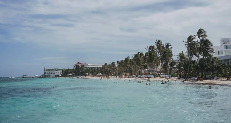 Plage avec des gens et des palmiers le long de la côte.
