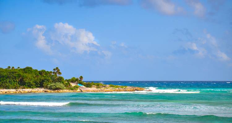 Côte rocheuse isolée avec végétation tropicale au bord de la mer.