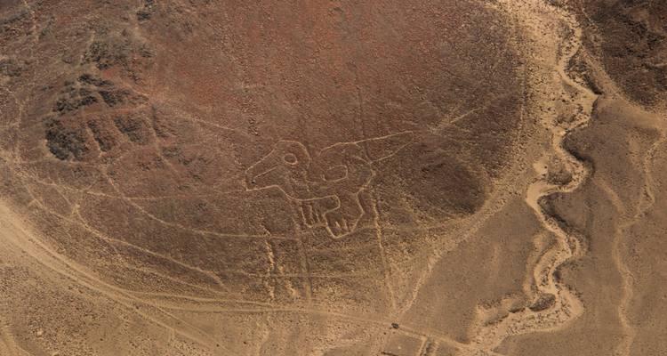 Vista aérea de un geoglifo que se asemeja a un pájaro.