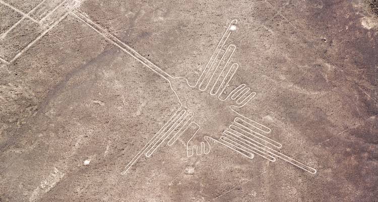 Vista aérea de un geoglifo que se asemeja a un colibrí.